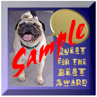 Quest's Award - Sample
